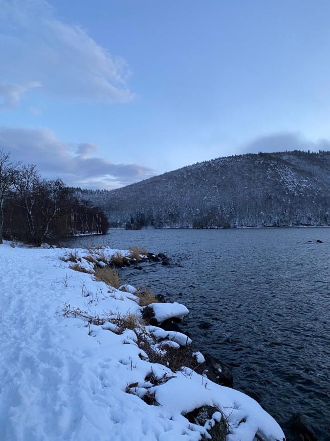 Hotel La Bonne Hotesse Chambon-sur-Lac Esterno foto