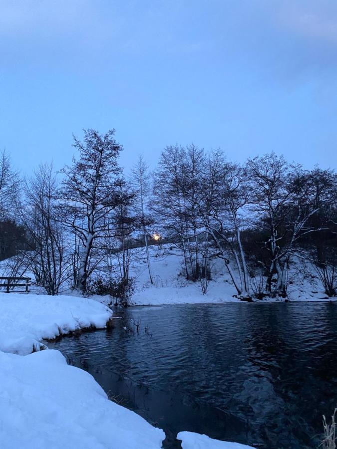 Hotel La Bonne Hotesse Chambon-sur-Lac Esterno foto